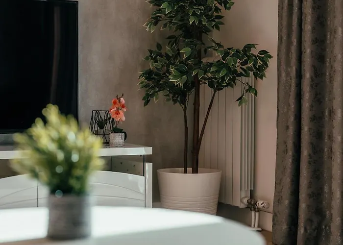 Bw Elegance Collection